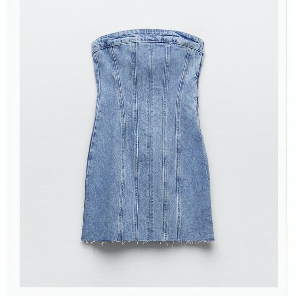 Zara Denim Mini Dress